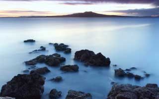 排球装备：新一代排球鞋科技，助力球员弹跳。