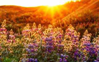 排球装备：新一代排球鞋科技，助力球员弹跳。