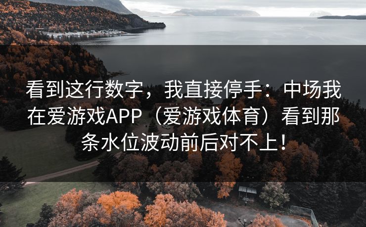 看到这行数字，我直接停手：中场我在爱游戏APP（爱游戏体育）看到那条水位波动前后对不上！