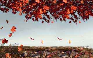 FB体育昨晚主播押尤文不败，结果补时点球输掉被全网追杀