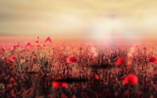 我当时就觉得不对劲：你以为是运气，爱游戏体育app｜爱游戏APP的那段冷热走势像在提醒你别冲其实在讲另一件事？