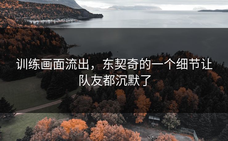 训练画面流出，东契奇的一个细节让队友都沉默了