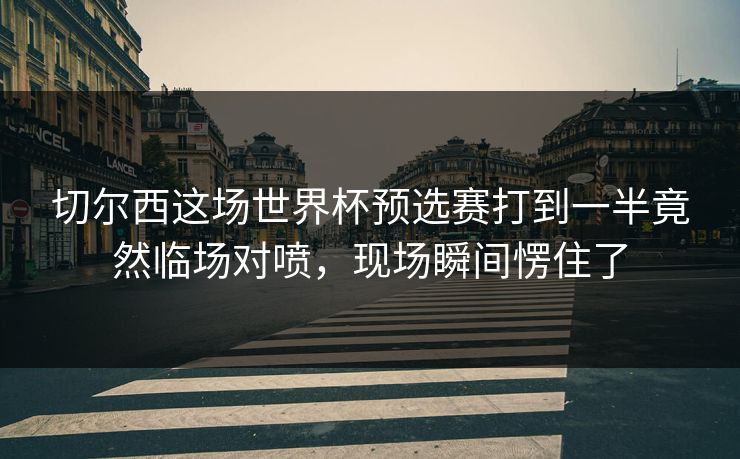 切尔西这场世界杯预选赛打到一半竟然临场对喷，现场瞬间愣住了