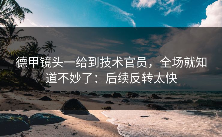 德甲镜头一给到技术官员，全场就知道不妙了：后续反转太快