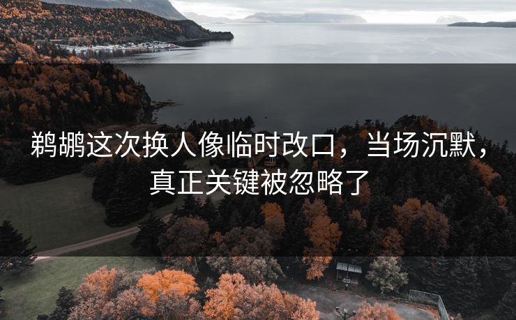 鹈鹕这次换人像临时改口，当场沉默，真正关键被忽略了